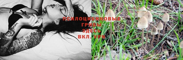 MESCALINE Мегион