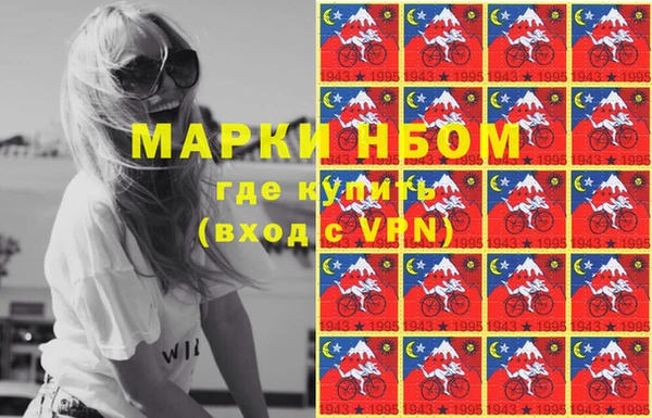 альфа пвп Медвежьегорск