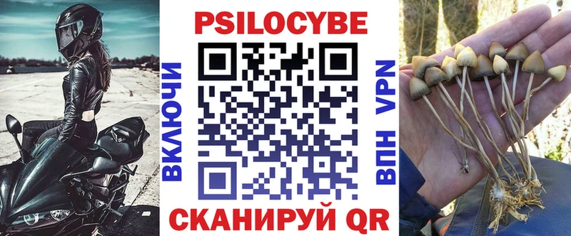 Галлюциногенные грибы мицелий  купить наркотики цена  Оса 
